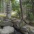 Stone statue in the forest.