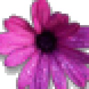 Katie Liljeberg profile image