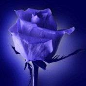 dearnadine profile image