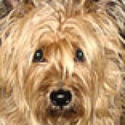 Emma Riley Sutton profile image