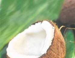 The Truth About Coconut Oil and Saturated Fats