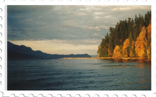 Cruising to San Juan Island