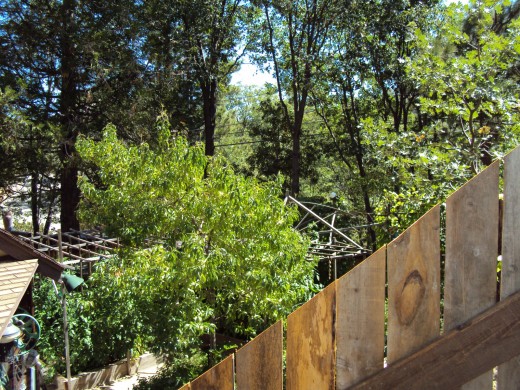 A view of the garden from the top of the hill, with a glimpse of the fence in the foreground.