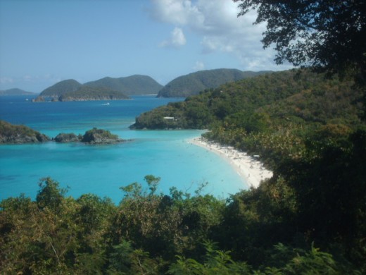 Trunk Bay St. John Island