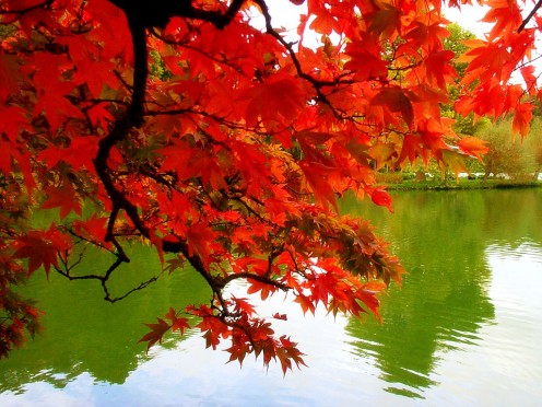 Vibrant Absorbing Color