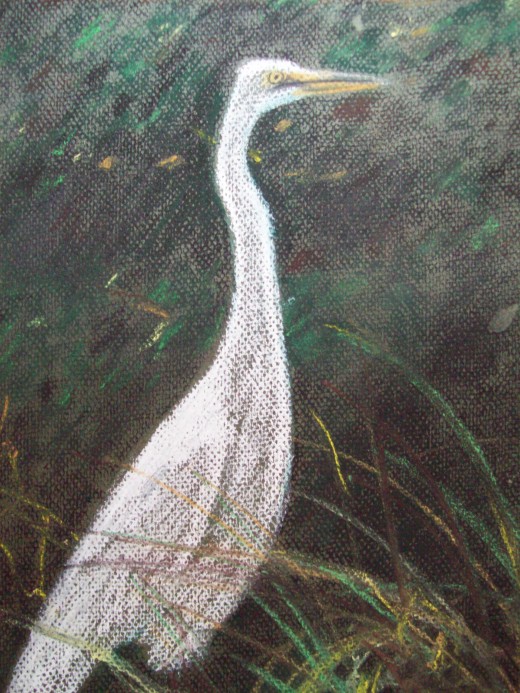 Golden Isles Egret -- pastel