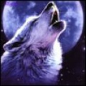 wolfpack5 profile image