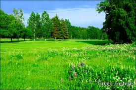 Green pastures
