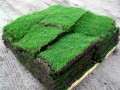 Where to Find Alternative Materials for Green Home Building