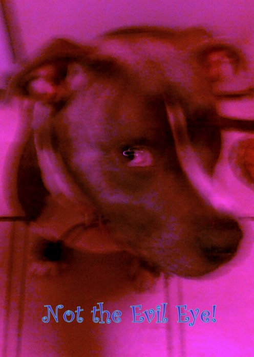 Peadey Gives the Evil Eye