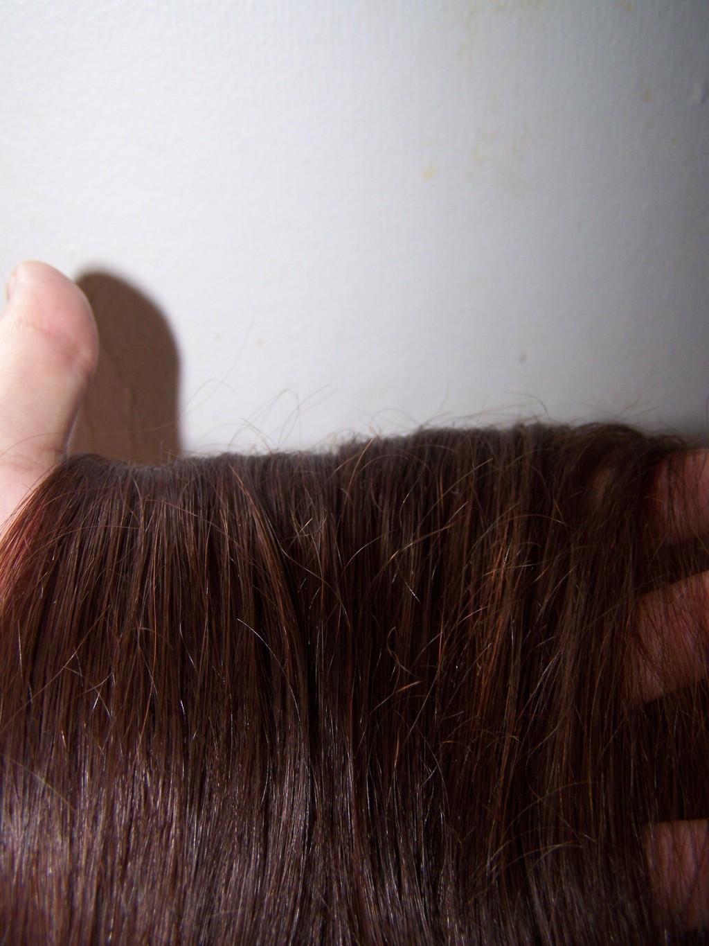 Pine Needle and Pine Sap Uses and Recipes hubpages