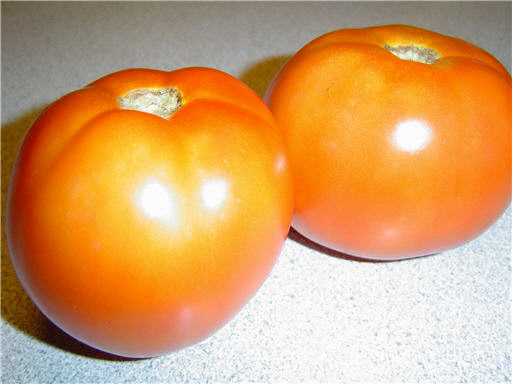 Tomatoes
