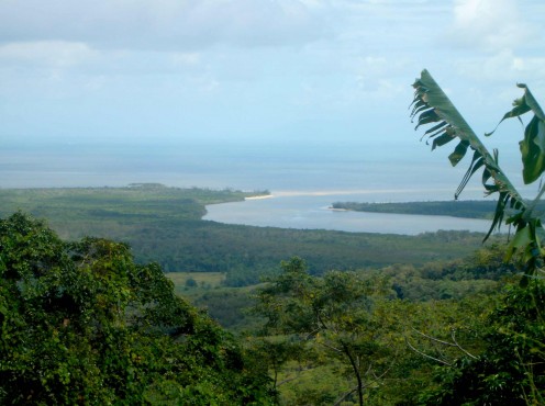 Looking back toward the mouth of the Daintree River.