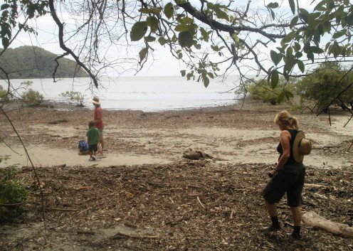 Emerging from the mangroves onto 'Geoff's Beach".