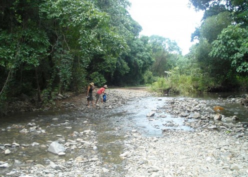 After hiding the 4x4 in the bush, we followed the course of this stream through the jungle in search of a beach,