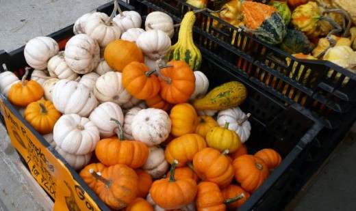 Some of the best  holiday decor may be found in your yard!