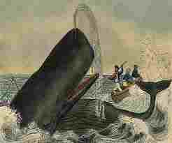 Early artist's interpretation of whaling may look romantic, but the reality is a cruel and bloody business.