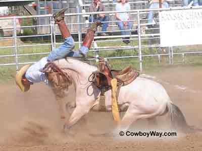 to a rodeo participant