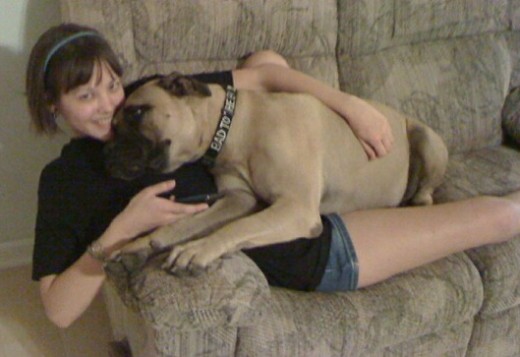 Dogs are one of my loves of life. This is me and my parents' Bull Mastiff (Bayley).