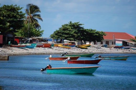 Scuba diving, whale watching capital of the Caribbean