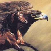 celalettin profile image
