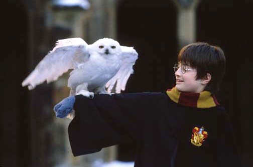 Daniel Radcliffe in Harry Potter and the Sorcerer's Stone
