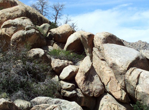 Another amazing boulder formation with chaparral brush growing up around it.