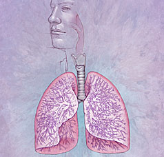 an active lifestyle Chronic Obstructive Pulmonary Disease COPD According to the Heart Lung and Blood Institute Chronic Obstructive Pulmonary Disease COPD is a lung disease in which the lungs are damaged making it hard to breathe In COPD the 
