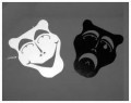 Living With Bi-Polar Disorder