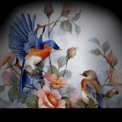 ngel profile image