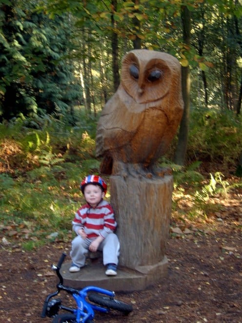 An Owl carving overlooking the walk