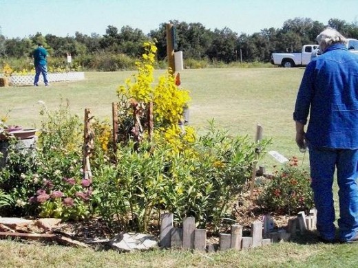 A butterfly nectar garden in the central area of the Jerusalem Community Park.  Local volunteers help care for the garden.  Another garden is in left background area.