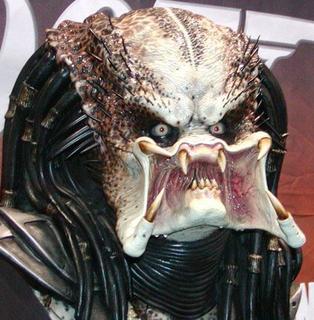 Predator - Drawing a Predator.