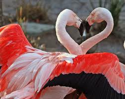 Our love shows no boundaries
