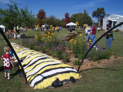 Front lawn scene of the Jerusalem Community Park acres. Note the ancient juniper-type tree in far right background, seen just left of the building.