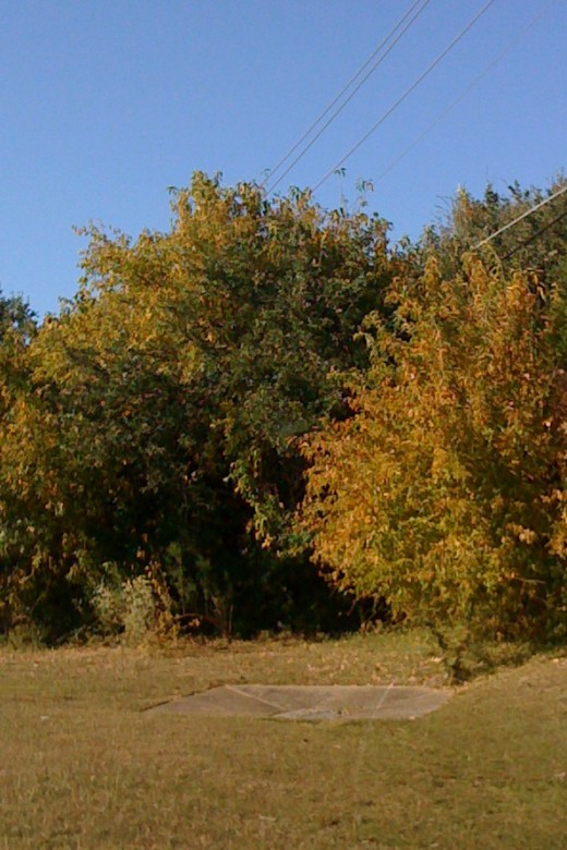 A typical October scene in the Texas Hill Country