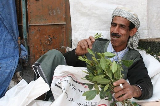 Q is for Qat which you chew right off the tree