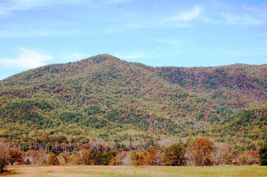I took a short little trip out to Cades Cove for some phototaking adventures.  By the time I got out there, I had lost interest so this is about the best pic I took.