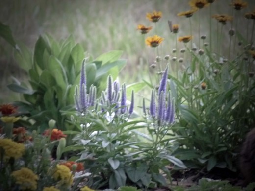 A picture, taken with a pinhole camera. The vignetting around the edges is a typical side-effect. 