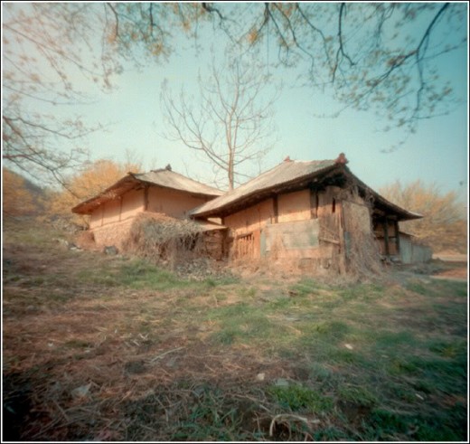 Another photo, taken with a pinhole camera.