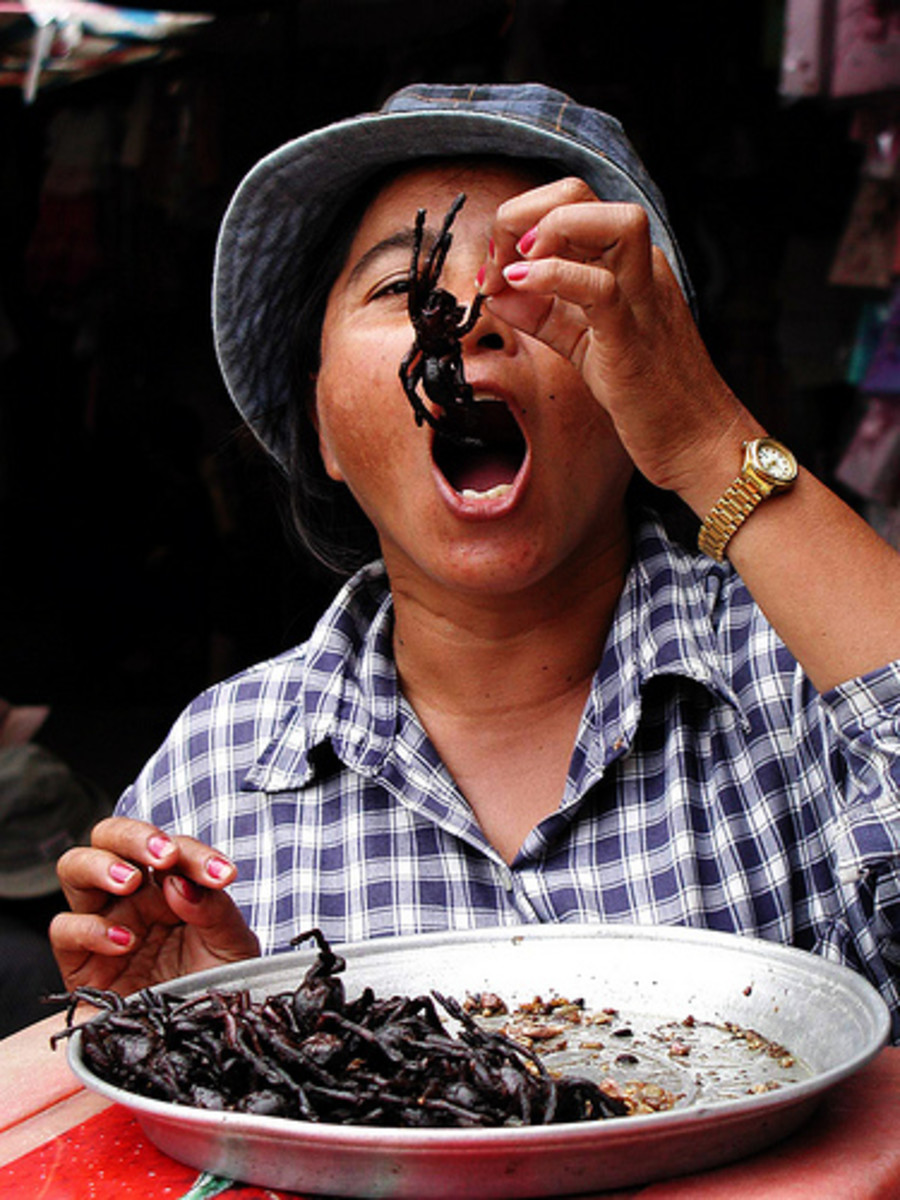 Cambodian Fried Spiders - Barnorama