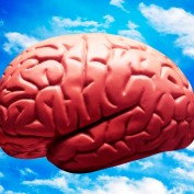 DidYouKnow profile image