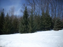 http://s4.hubimg.com/u/3965767_f248.jpg