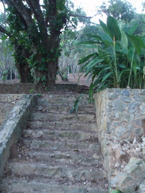 Steps to the house.  Heliconia at the top.