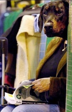 http://s3.hubimg.com/u/3967570_f248.jpg