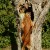 A bit of a shoulder work-out is required to get the disc down from this higher position. He did a great job!