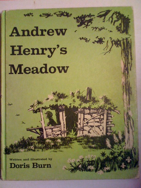 The cover of Andrew Henry's Meadow book