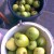 collected apples collected apples