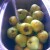 wash apples wash apples