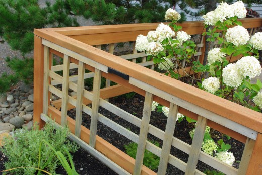 Garden Fence